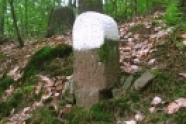 Grenzstein, teilweise weiß gestrichen, im Wald